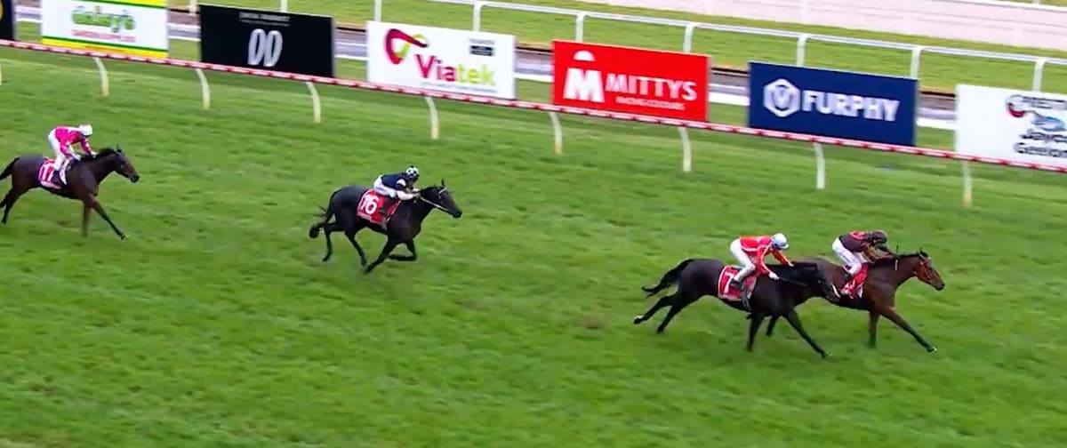 Perfect Start: Fastobid Triumphs in Stable Debut for Smiley Chan
