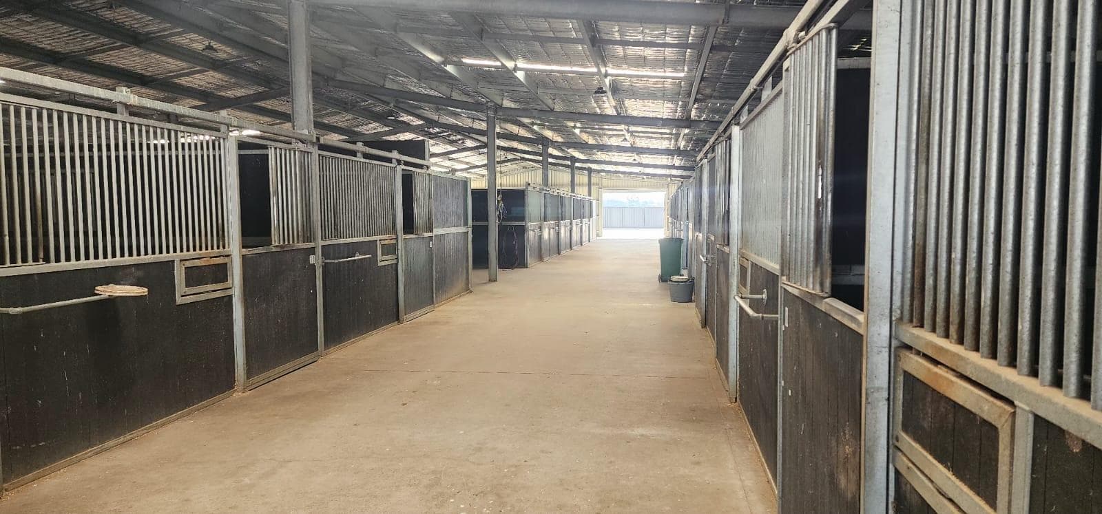 WhatsApp Image 2025-09-24 at 8.06.59 AM.jpeg