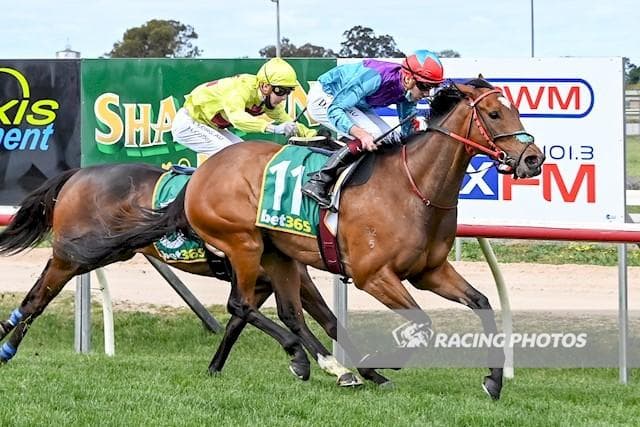 WhatsApp Image 2025-09-24 at 7.30.31 AM.jpeg