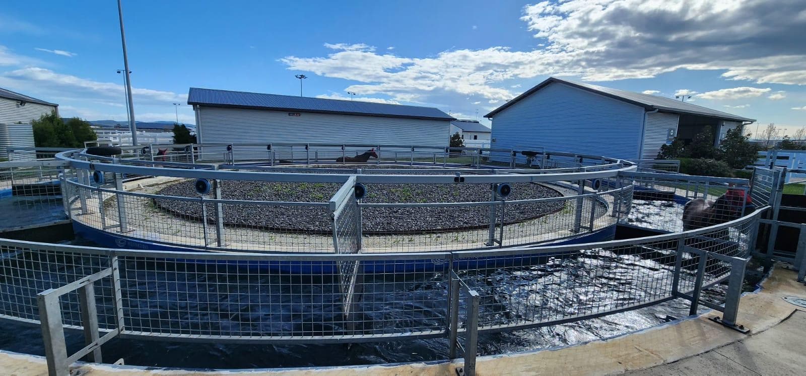 WhatsApp Image 2025-09-24 at 8.06.58 AM (2).jpeg